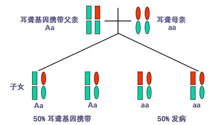 resource/images/18098ed4588f447d95a9d3d604090312_10.png