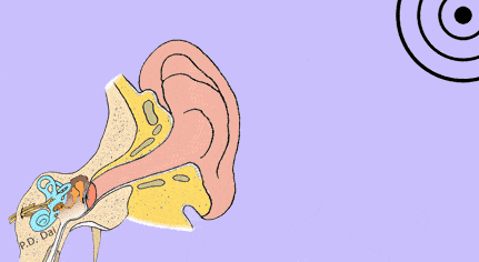resource/images/db2716c3a5654bc6b32d23bf7c36faba_23.gif
